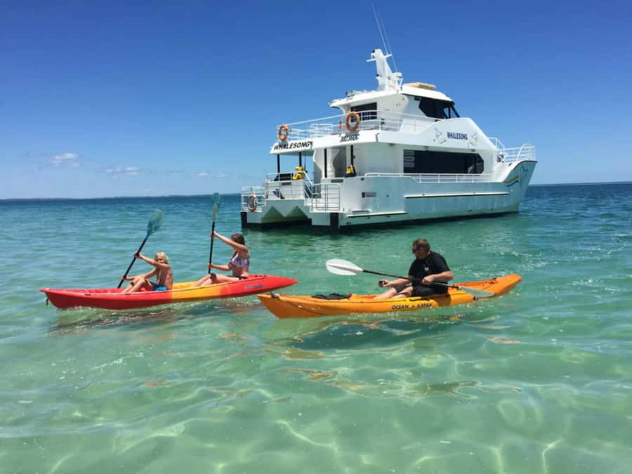 From Hervey Bay: Half-Day K'gari Fraser Island Beach Cruise - Who will enjoy this most