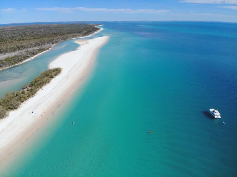 From Hervey Bay: Half-Day K'gari Fraser Island Beach Cruise - Watch the water for dolphins, turtles, and dugongs