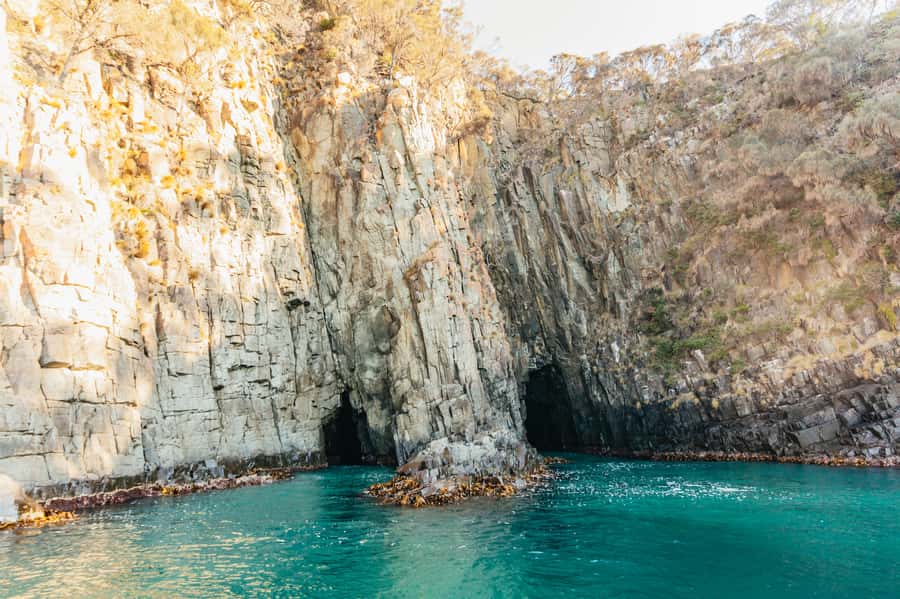 From Hobart/Adventure Bay: Bruny Island Wilderness Cruise - Key points to know before you book