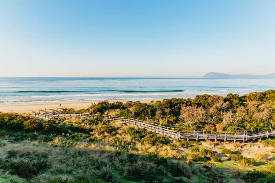 From Hobart/Adventure Bay: Bruny Island Wilderness Cruise - Practical preparation for a better day