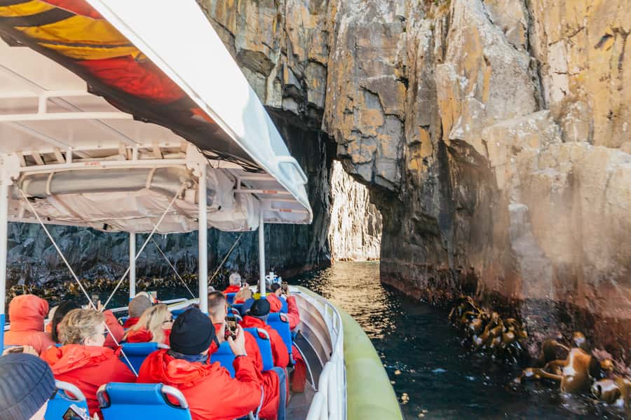 From Hobart/Adventure Bay: Bruny Island Wilderness Cruise - Wildlife around The Friars