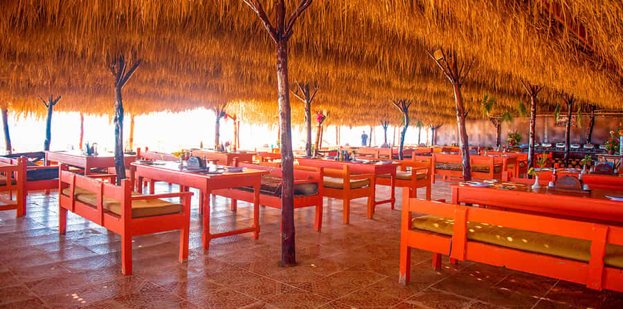 From Hurghada: Paradise Island Snorkeling Cruise with Lunch - What the crew does well