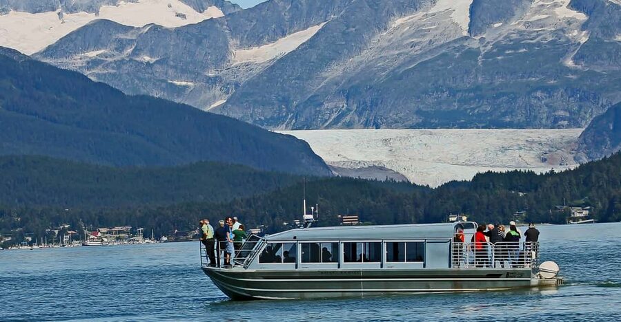 From Juneau: Whale Watching Cruise with Snacks - Why this Juneau whale cruise is worth considering