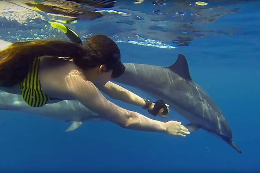 From Kendwa: Mnemba Boat Trip and Dolphin Snorkel Adventure - Key points to know before booking