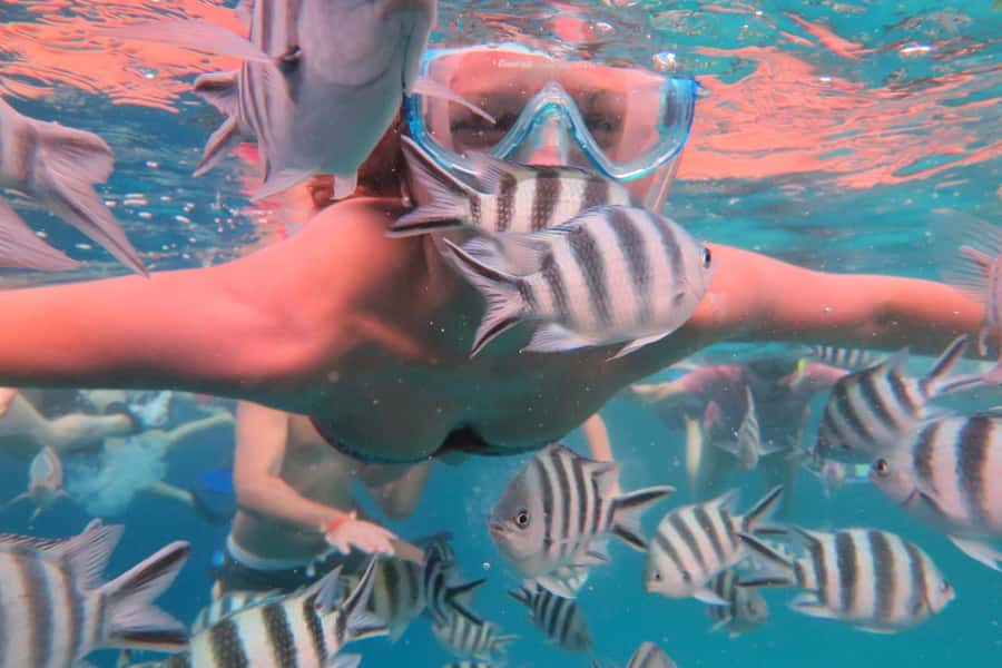 From Kendwa: Mnemba Boat Trip and Dolphin Snorkel Adventure - What $50 really gets you