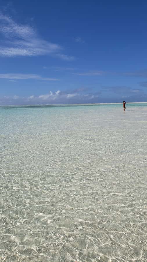 From Kendwa: Mnemba Boat Trip and Dolphin Snorkel Adventure - Starting at Mama Mia in Kendwa