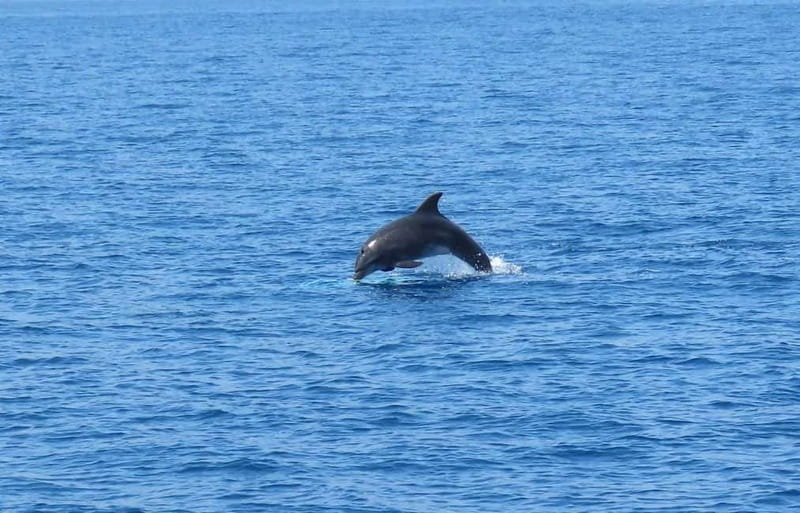 From Kos:A full day cruise in the newest luxury vessel! - The surprise stop keeps the schedule flexible