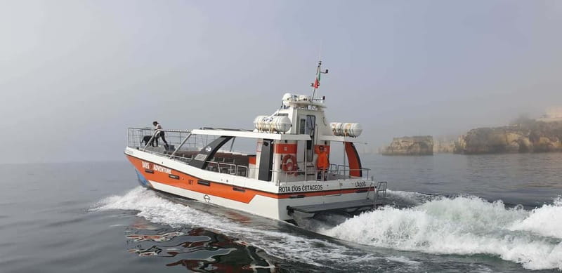 From Lagos: Benagil Caves Catamaran Cruise - The slower return to Lagos