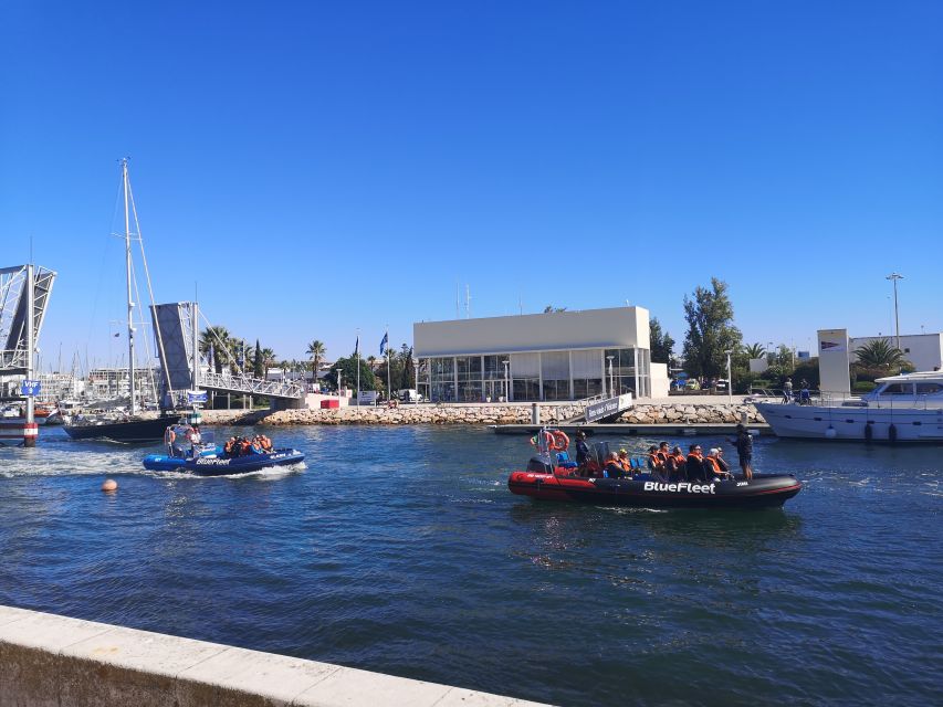 From Lagos: Dolphin Watching Boat Trip w/Marine Biologists - Wind, waves, and what to wear