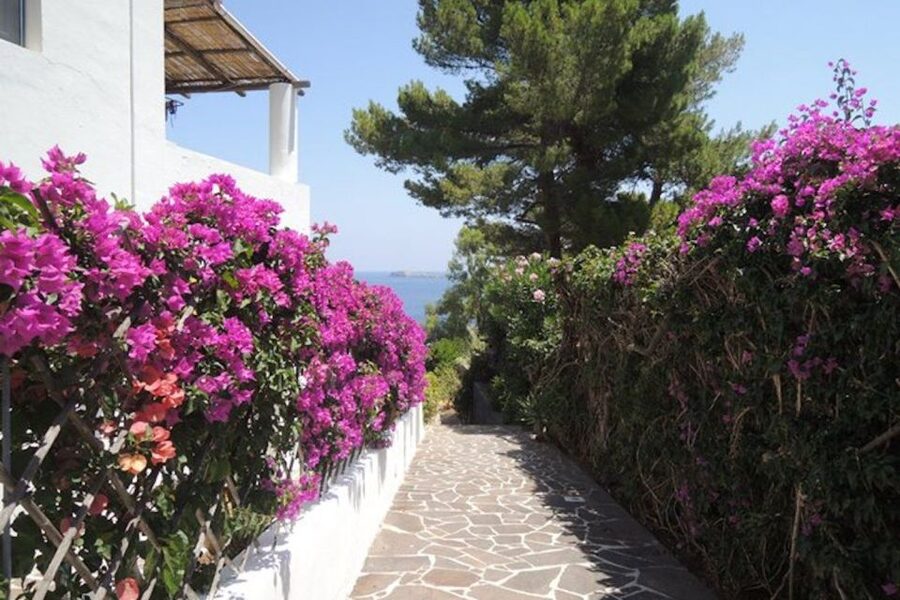 From Lipari: Panarea and Stromboli Cruise with Stops - Is $79 good value for eight hours?