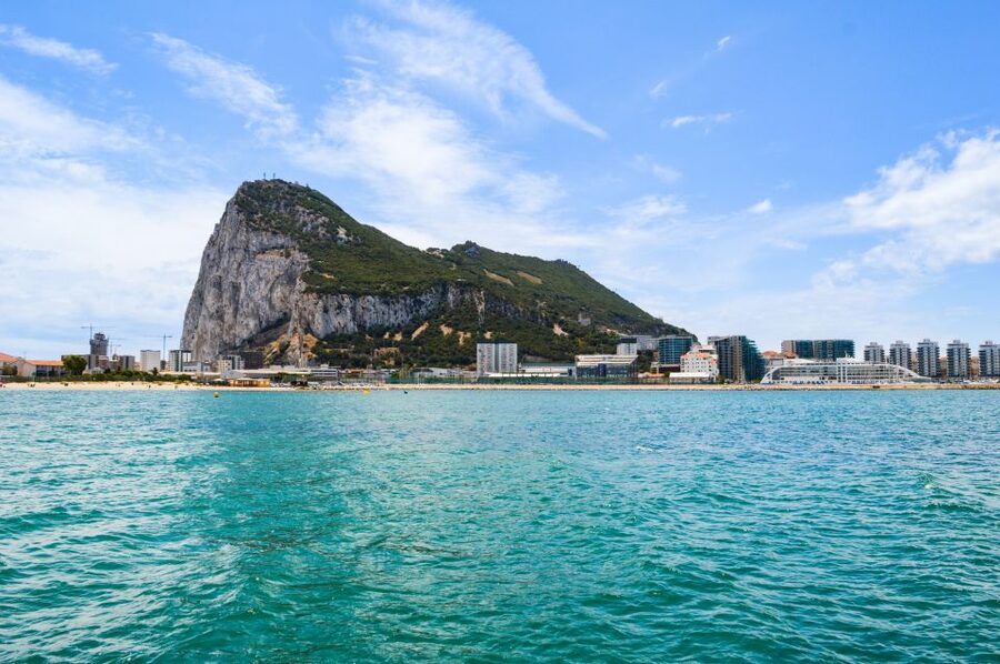 From Malaga: Day trip to Gibraltar and Dolphin Boat Tour - Why the dolphins are the real star