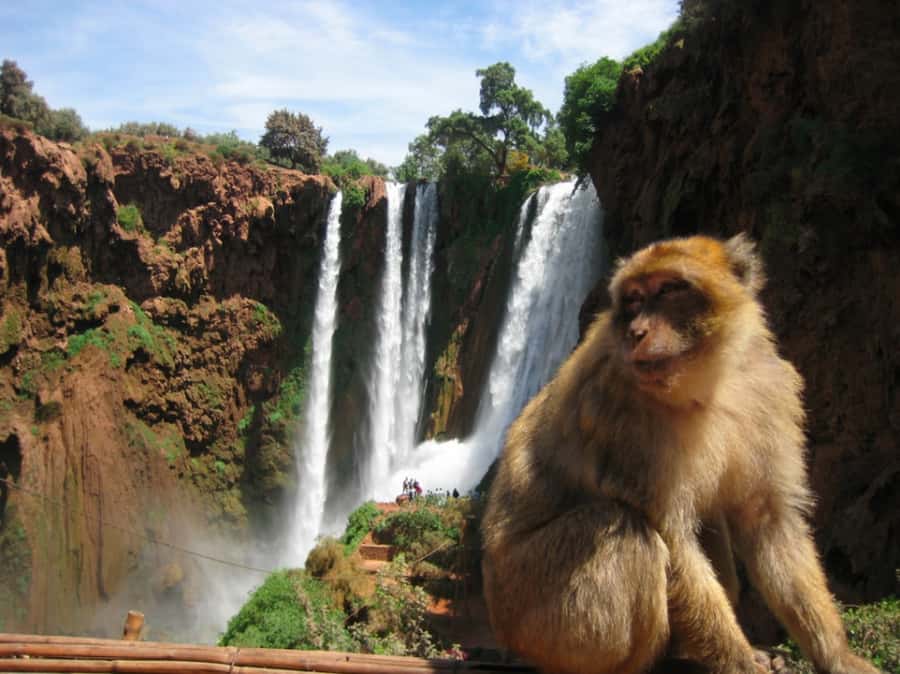 From Marrakech: Guided Ouzoud Waterfalls Tour with Boat Ride - Weather, clothing, and comfort