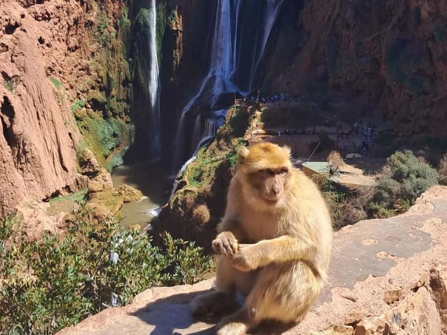 From Marrakech:Ouzoud Waterfalls Day Trip with Boat Tour - First views: cliffs, olive groves, and green valley