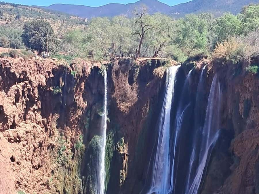 From Marrakech:Ouzoud Waterfalls Day Trip with Boat Tour - Lunch on a terrace above the falls