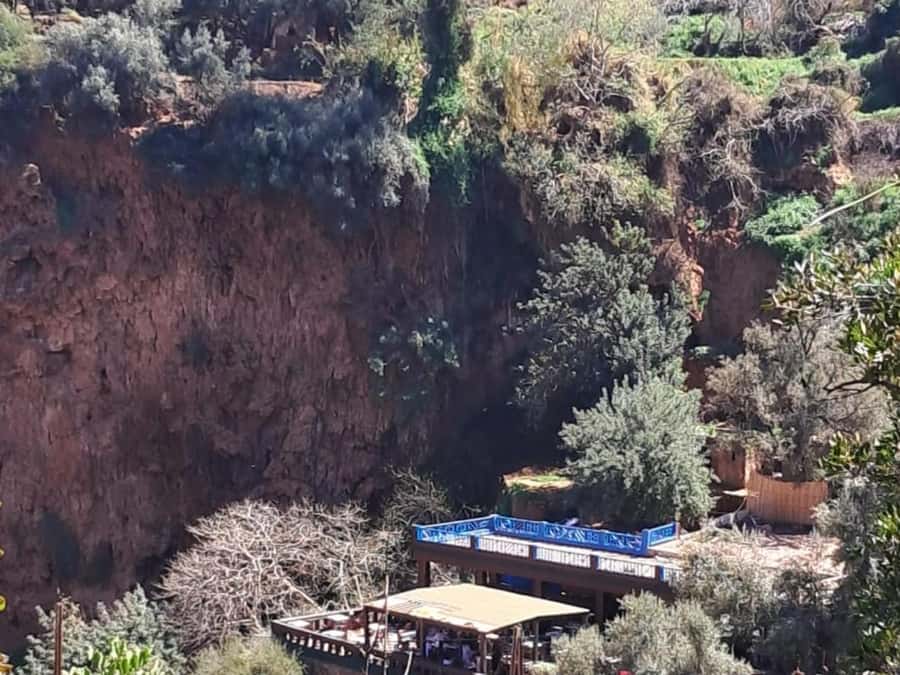 From Marrakech:Ouzoud Waterfalls Day Trip with Boat Tour - Monkeys, stalls, and the less polished side of the visit