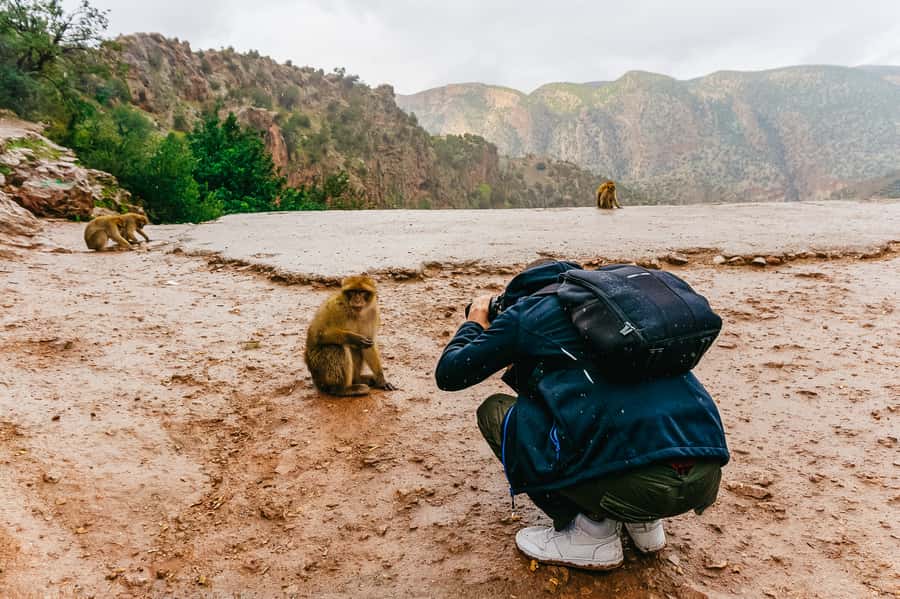 From Marrakech: Ouzoud Waterfalls Guided Hike and Boat Trip - The short boat ride at the base