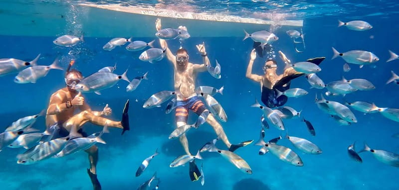 From Marseille: Iconic Calanques Boat Tour with Swimming - Key points at a glance