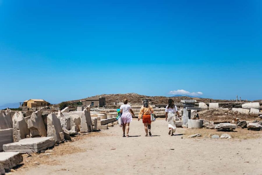From Mykonos: Cruise to Delos and Rhenia with Lunch - Who should book this Mykonos cruise?
