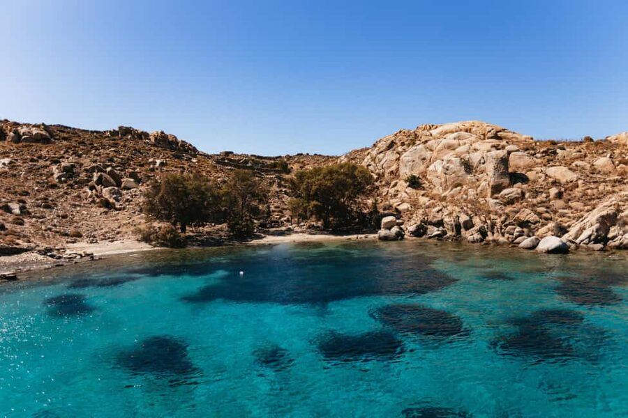 From Mykonos: Cruise to Delos and Rhenia with Lunch - Delos, the sacred center of the itinerary
