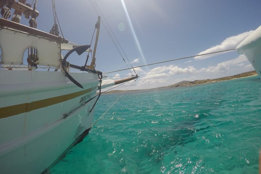 From Mykonos: Delos & Rhenia Islands Half-Day Trip by Boat - Who will enjoy this Mykonos day trip?