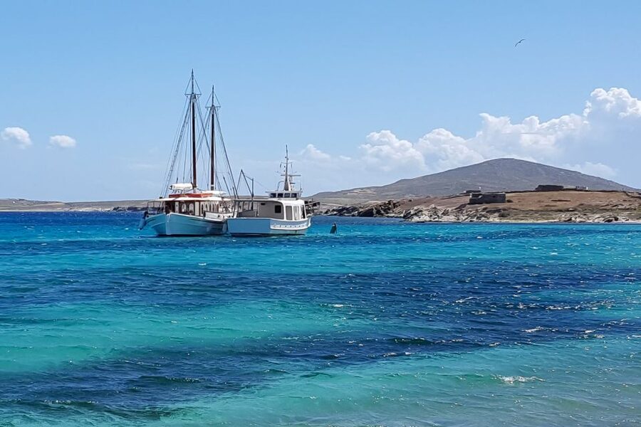 From Mykonos: Delos & Rhenia Islands Half-Day Trip by Boat - What to pack and what to expect