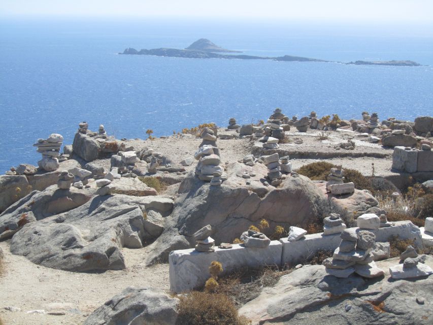 From Naxos: Delos and Mykonos Full-Day Boat Trip - Should you book the Delos and Mykonos boat trip?