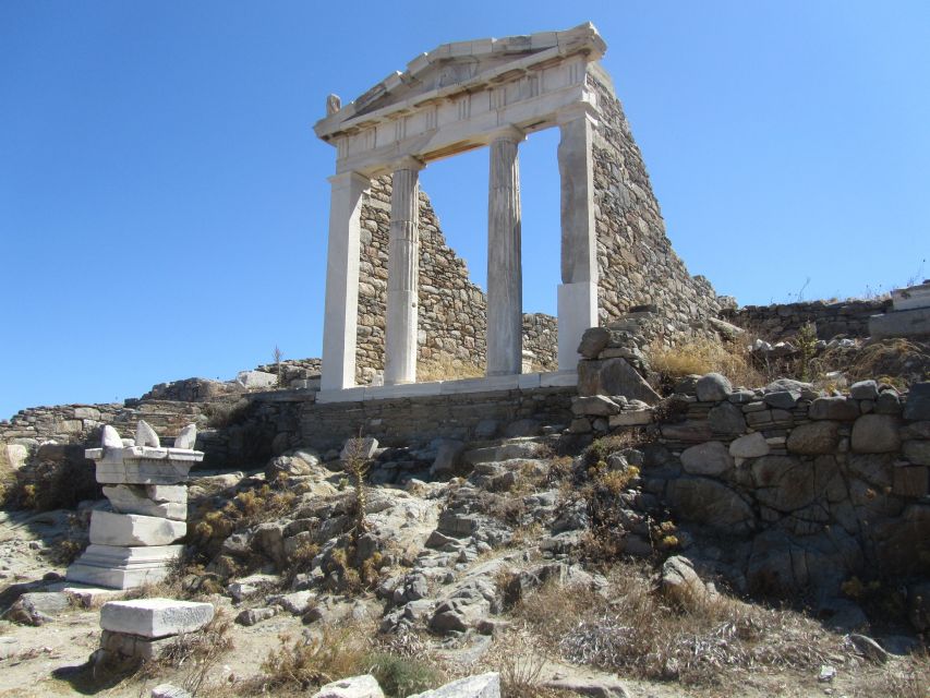From Naxos: Delos and Mykonos Full-Day Boat Trip - Who should book this full-day trip