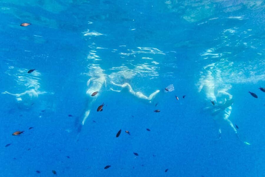 From Nice: French Riviera Swimming and Snorkeling Cruise - The Return Ride to Nice