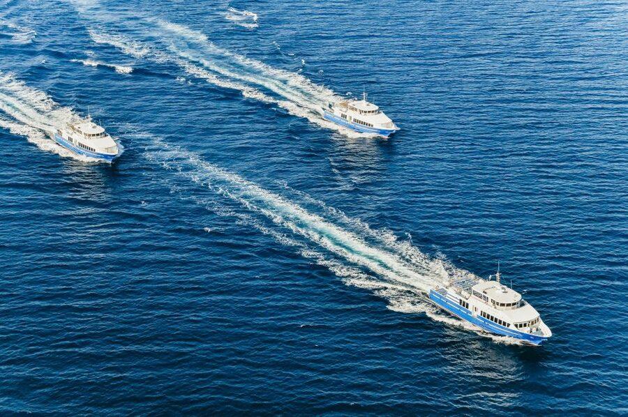 From Nice: Round-Trip Transportation to Saint Tropez by Boat - Arriving in Saint-Tropez at 11:30 AM