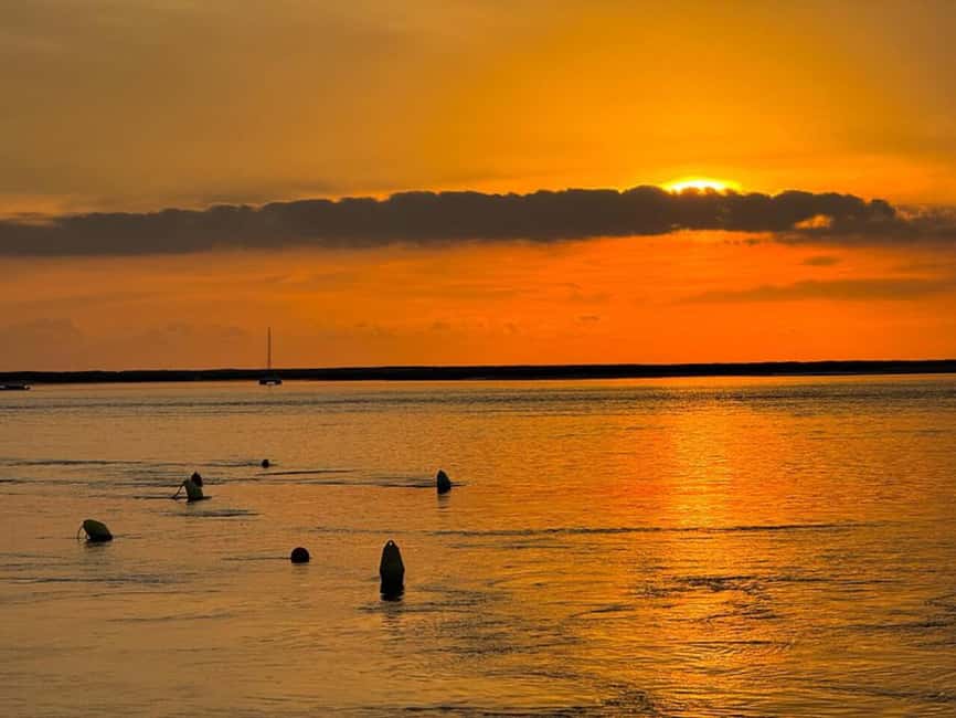 From Olhão: Ria Formosa Sunset Island Boat Tour - The return ride and what the guides add