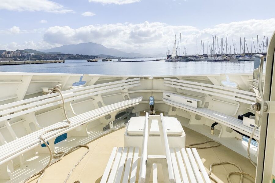 From Ota: Scandola Nature Reserve Eco-Friendly Boat Tour - Weather, seating, and comfort