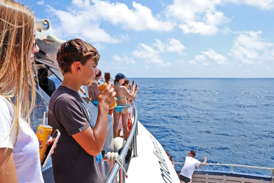 From Paguera: Dolphin Watching Cruise in a Glass-Bottom Boat - The glass-bottom section: useful in theory, limited in practice