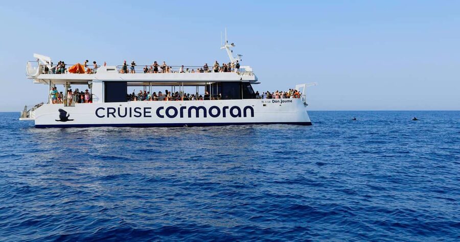 From Paguera: Dolphin Watching Cruise in a Glass-Bottom Boat - Food, drinks, and the return to shore