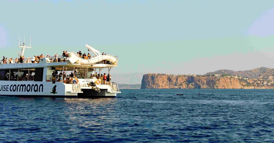 From Paguera: Dolphin Watching Cruise in a Glass-Bottom Boat - Is $41 good value?