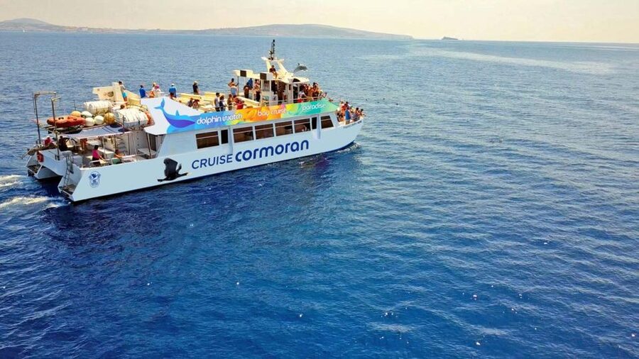From Paguera: Dolphin Watching Cruise in a Glass-Bottom Boat - The first stretch along Mallorca’s southwest coast