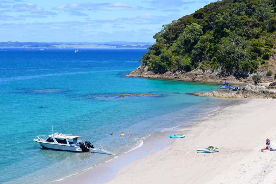 From Paihia: Scenic Cruise with Roberton Island Stopover - Key points to know before you book