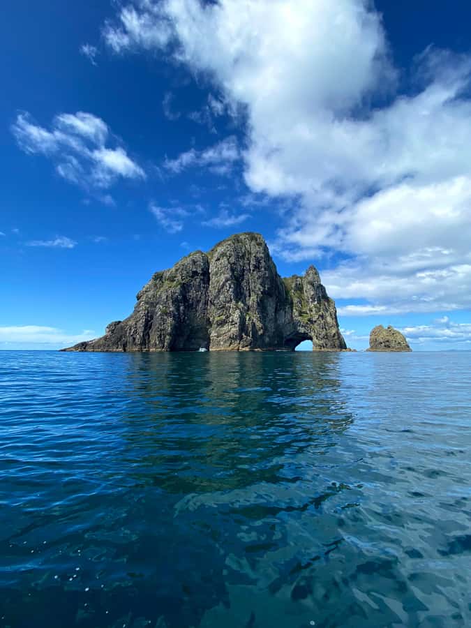 From Paihia: Scenic Cruise with Roberton Island Stopover - My verdict on the Island Getaway cruise