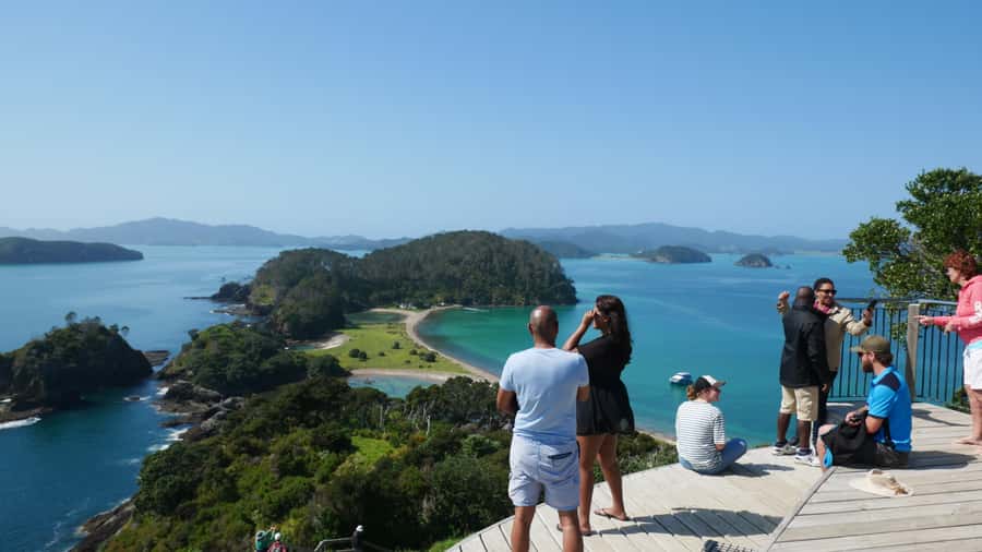 From Paihia: Scenic Cruise with Roberton Island Stopover - Wildlife watching in the Bay of Islands