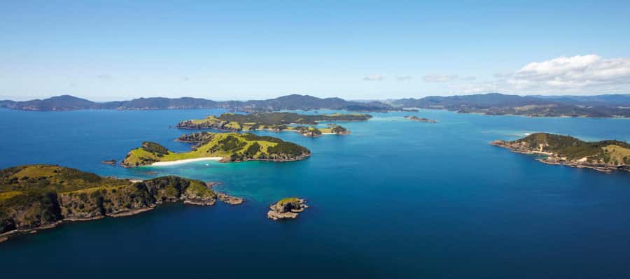 From Paihia: Scenic Cruise with Roberton Island Stopover - What the crew adds to the experience