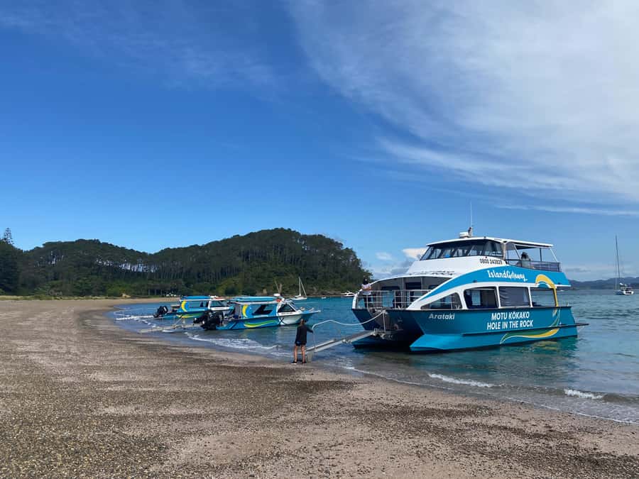 From Paihia: Scenic Cruise with Roberton Island Stopover - Is $78 good value?