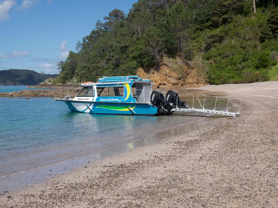 From Paihia: Scenic Cruise with Roberton Island Stopover - Who should book this Paihia cruise?