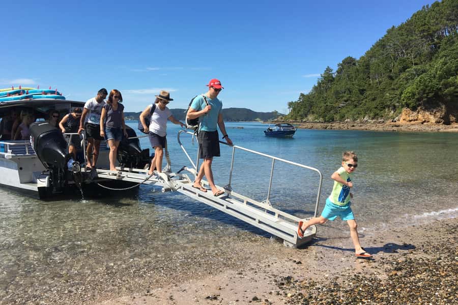 From Paihia: Scenic Cruise with Roberton Island Stopover - Leaving Paihia and finding your sea legs