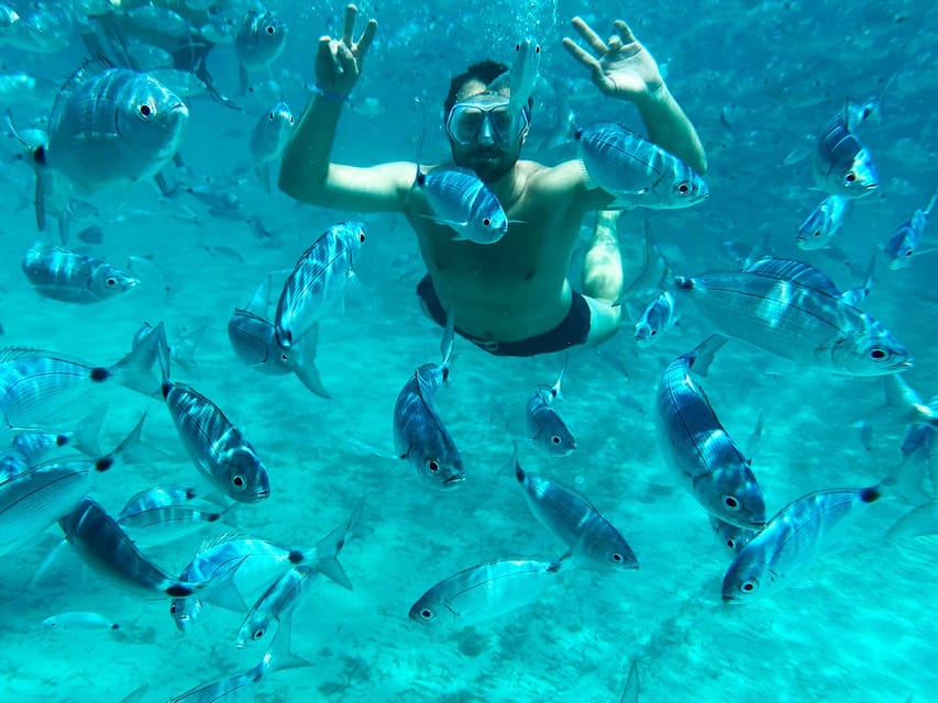 From Palau: La Maddalena Archipelago Catamaran Tour w/ Lunch - Key points at a glance