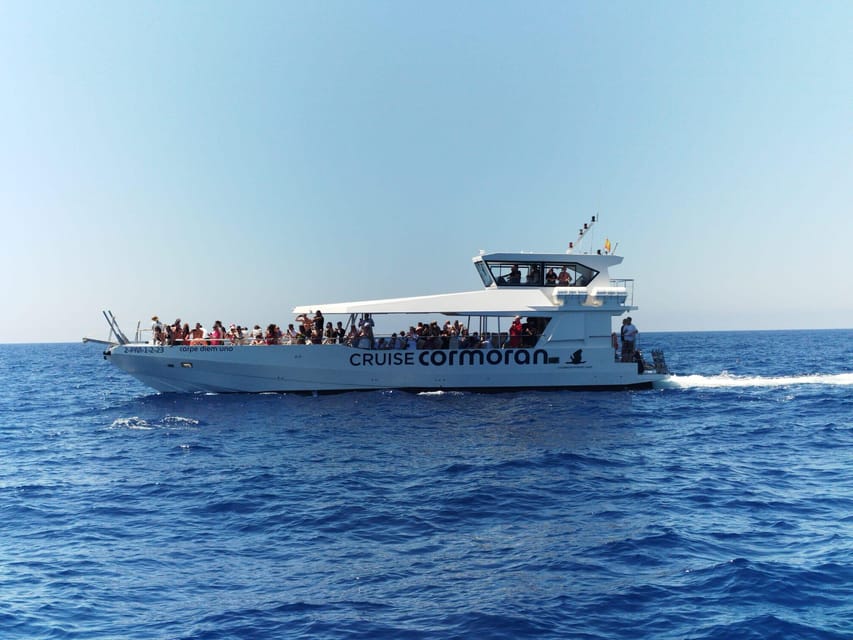 From Palma: 3-Hour Morning Dolphin Watching Boat Tour - Key points to know before booking