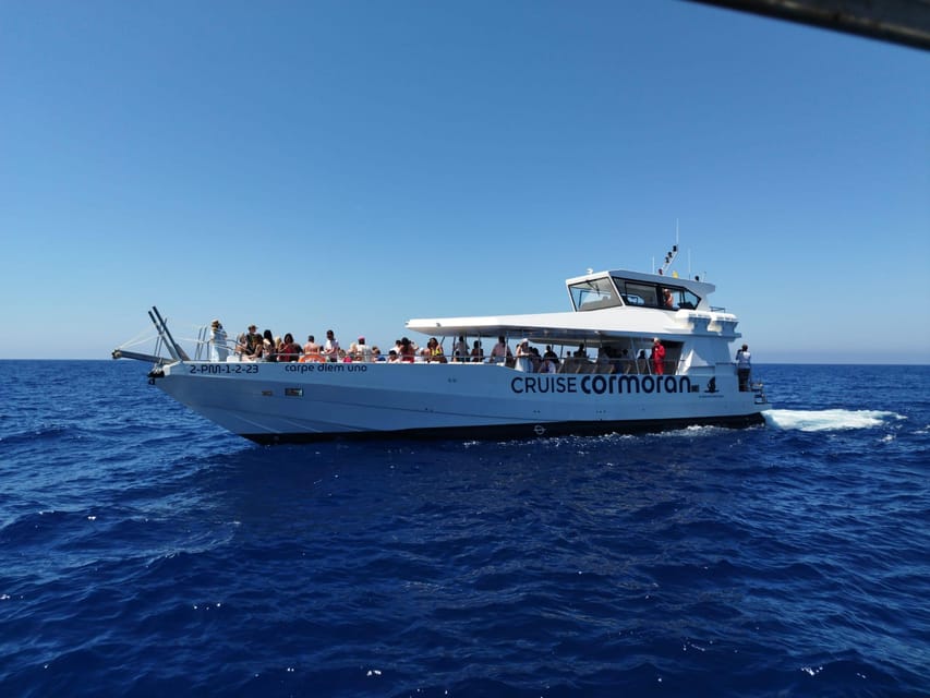 From Palma: 3-Hour Morning Dolphin Watching Boat Tour - Sailing out of Palma aboard Carpe Diem