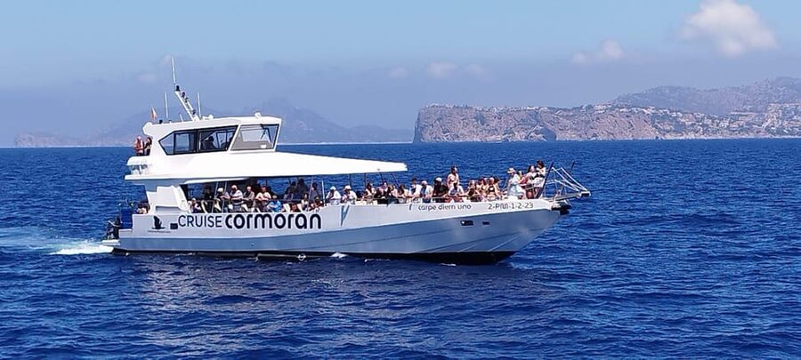 From Palma: 3-Hour Morning Dolphin Watching Boat Tour - Who will enjoy this trip most