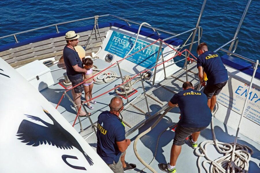 From Palma: 3-Hour Morning Dolphin Watching Boat Tour - Practical packing advice for a comfortable morning