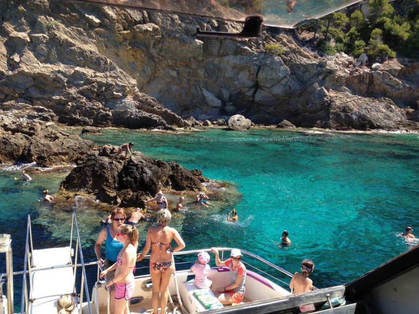 From Palma: 3-Hour Morning Dolphin Watching Boat Tour - The dolphin search in open water