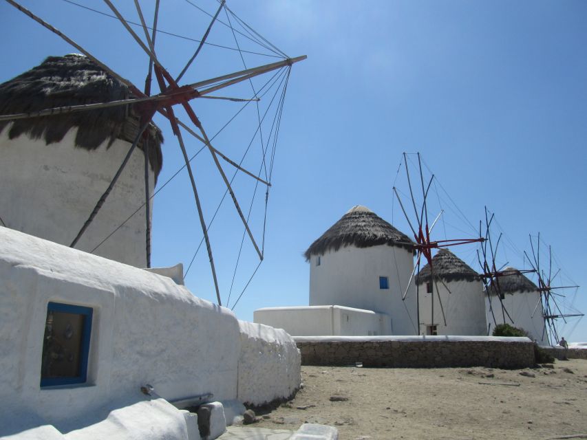 From Paros: Delos and Mykonos Full-Day Boat Trip - Who should book this trip?