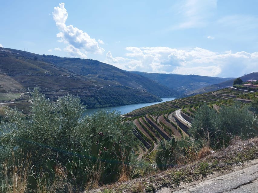 From Pinhão: Douro Valley Tour w/ Wine Tasting and Boat Trip - Comfort, pace, and practical limits